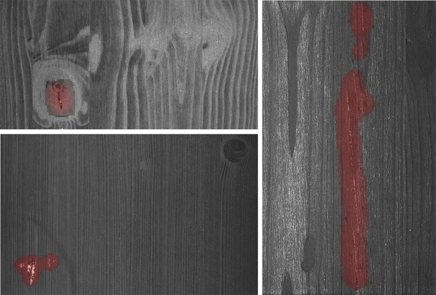 CNN anomaly detection for wood inspection: artificial intelligence assists in the detection and classification of defects that are difficult to detect with conventional methods.